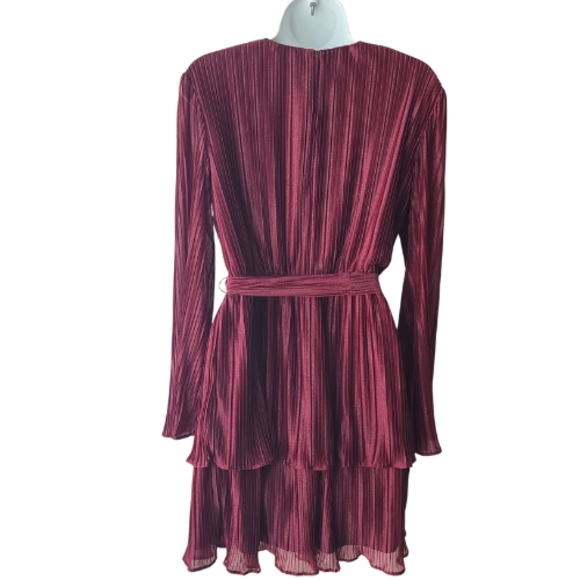 Elegant Burgundy Pleated Dress - Picture 3 of 12